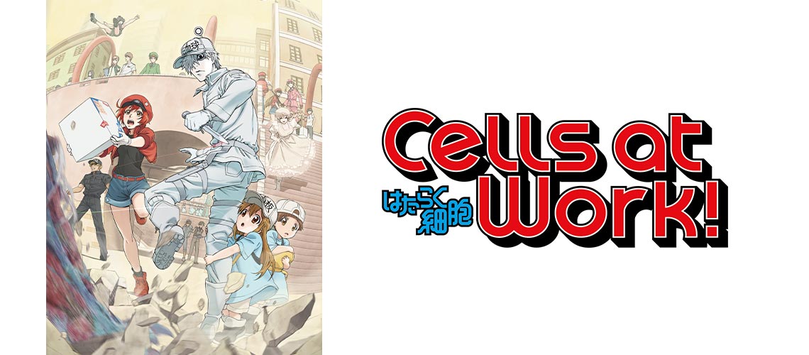 CHARACTER  Cells at Work!! Official USA Website