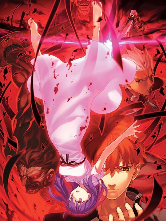 Fate Stay Night Heavens Feel III. spring song Blu-ray